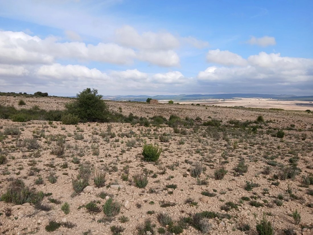 Land in Yecla, Región de Murcia, Spain 4 - 17077104
