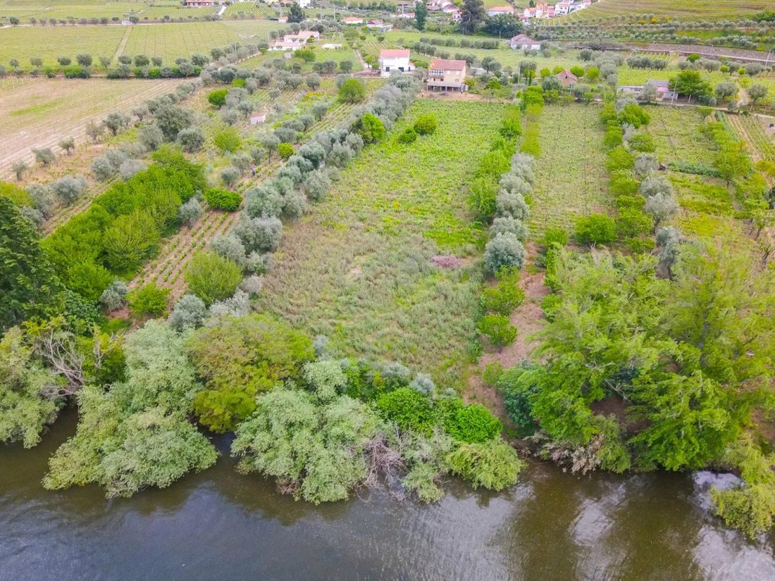 Villa in Cambres, Viseu District, Portugal 3 - 17078800