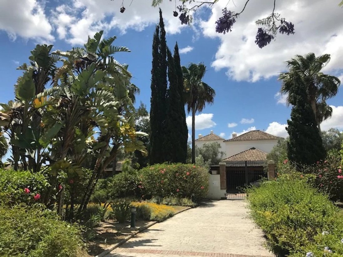 Villa in Sotogrande, San Roque, Andalusia 5 - 17081162