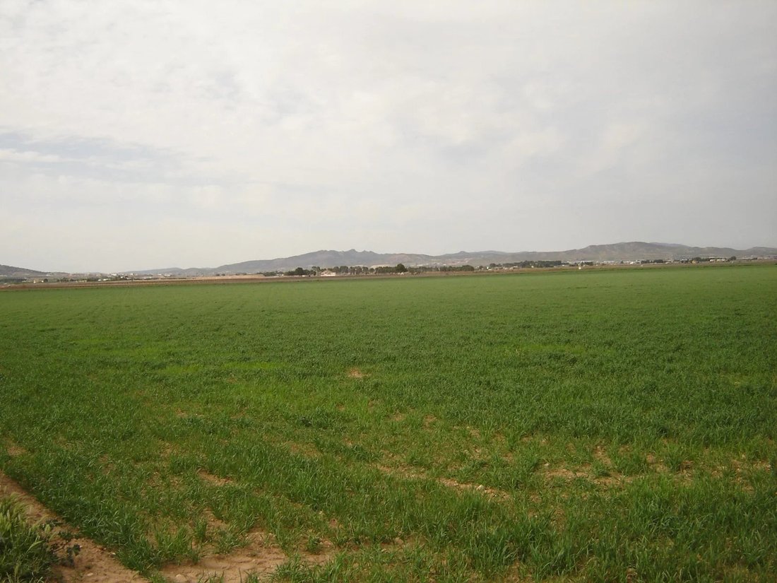 Land in Yecla, Región de Murcia, Spain 4 - 17076414