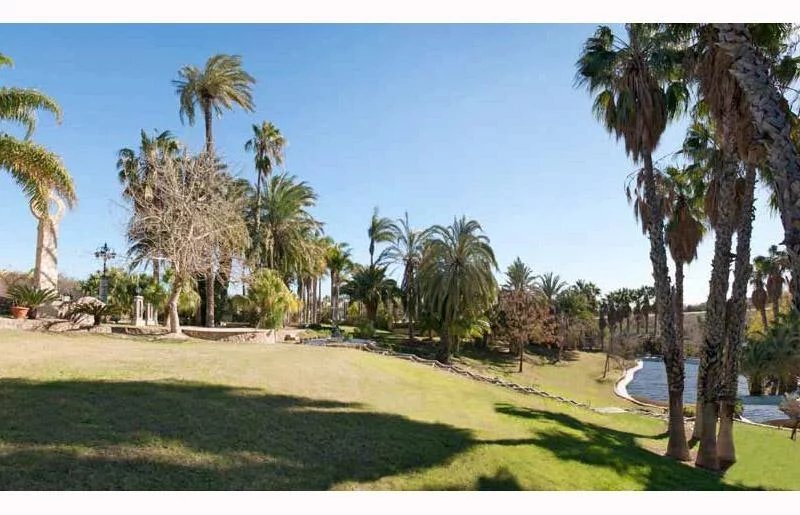 Villa in Villamartin, Andalusia, Spain 3 - 17080911