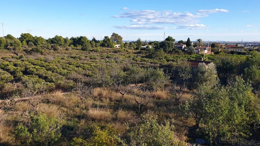 Land in Naquera / Naquera, Valencian Community, Spain 3 - 17080829