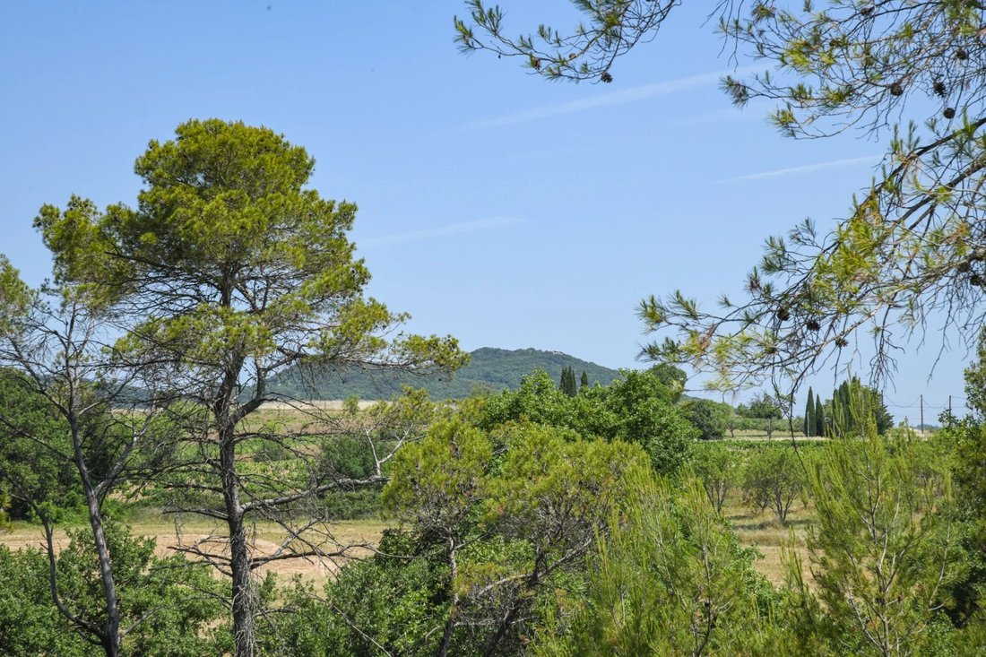 Country House in Barjac, Occitania, France 5 - 17075006