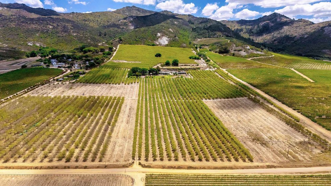 Farm Ranch in Paarl, Groenvlei, Western Cape 2 - 17075022