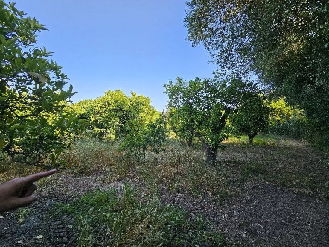 Anwesen in San Martín del Tesorillo, Andalusien, Spanien 4 - 17080291