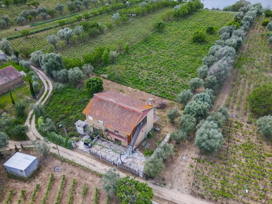 Villa in Cambres, Viseu District, Portugal 4 - 17078800