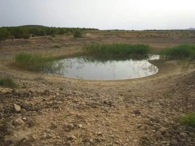 Land in Yecla, Región de Murcia, Spain 2 - 17077104