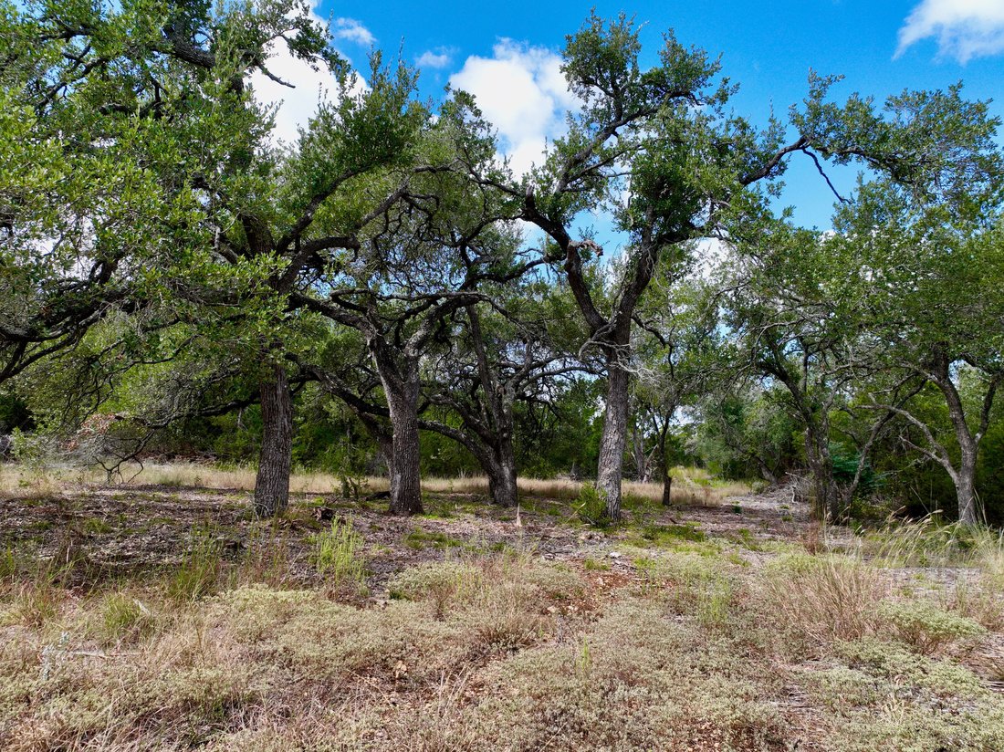 Farm Ranch in Wimberley, Texas, United States 2 - 17083052