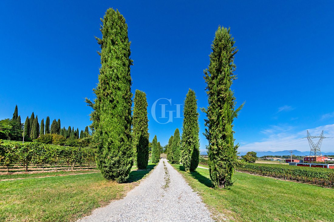 Villa in Entroterra, Desenzano del Garda, Lombardy 3 - 17082436