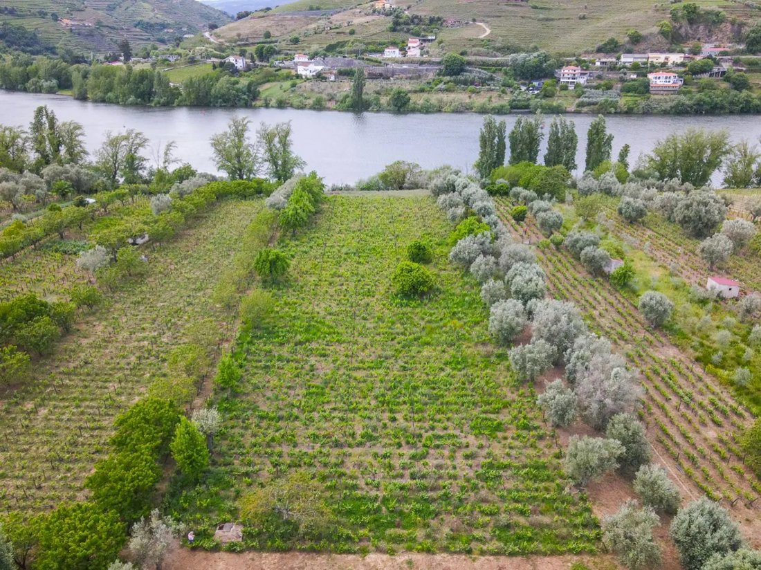 Villa in Cambres, Viseu District, Portugal 2 - 17078800