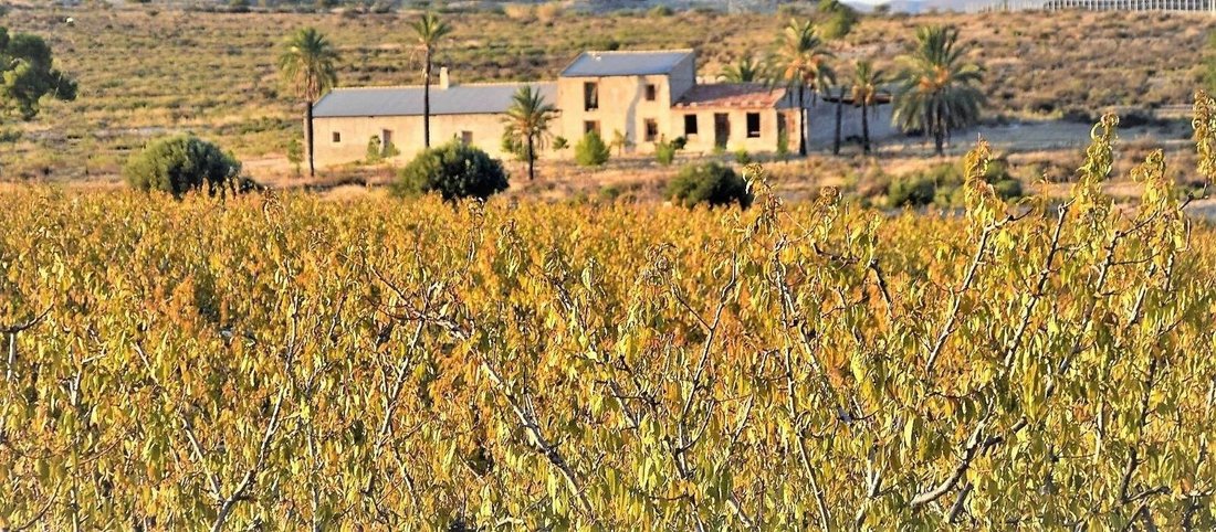 Land in Las Torres de Cotillas, Región de Murcia, Spain 2 - 17081573