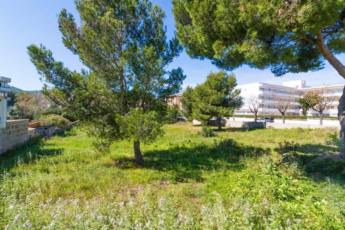 Land in Capdepera, Balearische Inseln, Spanien 4 - 17080767