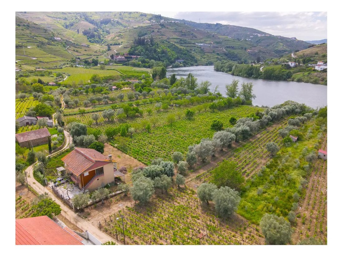 Villa in Cambres, Viseu District, Portugal 1 - 17078800