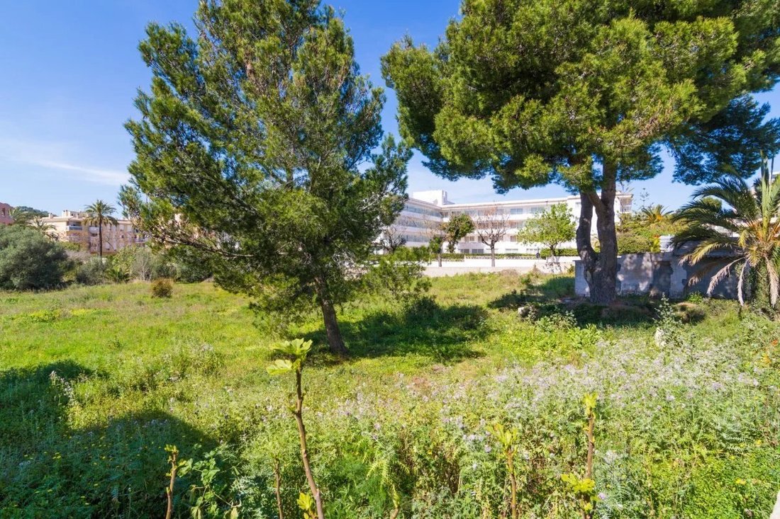 Land in Capdepera, Balearische Inseln, Spanien 3 - 17080767