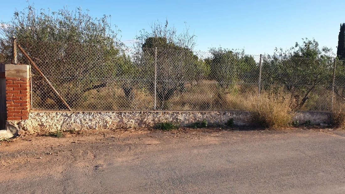 Land in Naquera / Naquera, Valencian Community, Spain 5 - 17080829