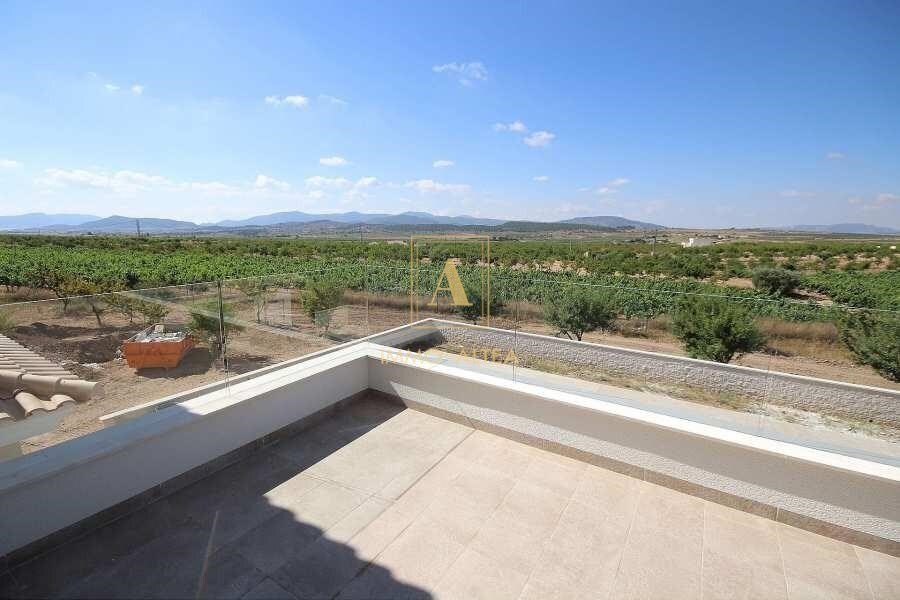 Villa in el Pinos / Pinoso, Valencian Community, Spain 3 - 17077229