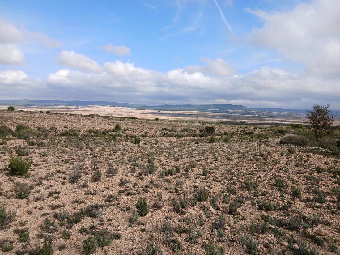 Land in Yecla, Región de Murcia, Spain 5 - 17077104