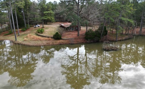 House in Sterrett, Alabama, United States 1