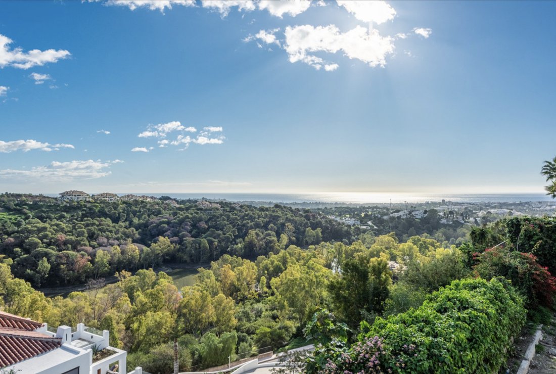 Villa in Nueva Andalucia, Marbella, Spain 3 - 17082681