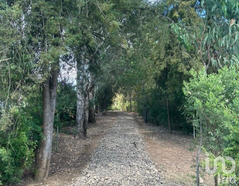 Land in Tapalpa Country Club, Jalisco, Mexico 5 - 17075569