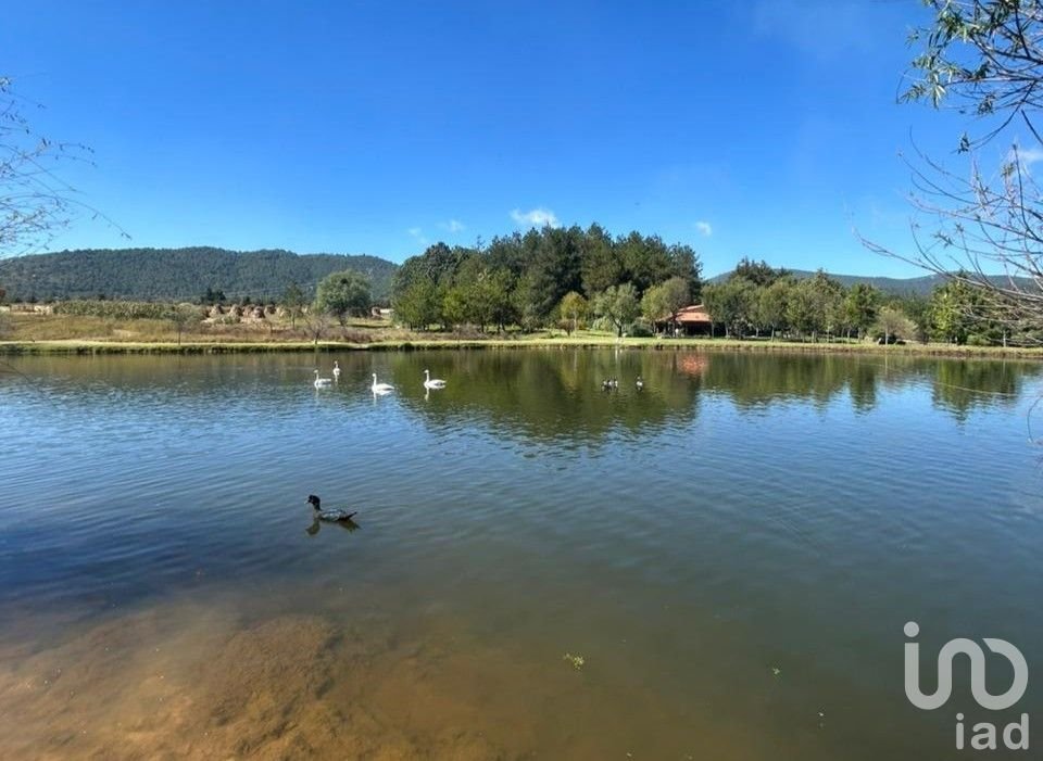 Land in Tapalpa Country Club, Jalisco, Mexico 5 - 17075503