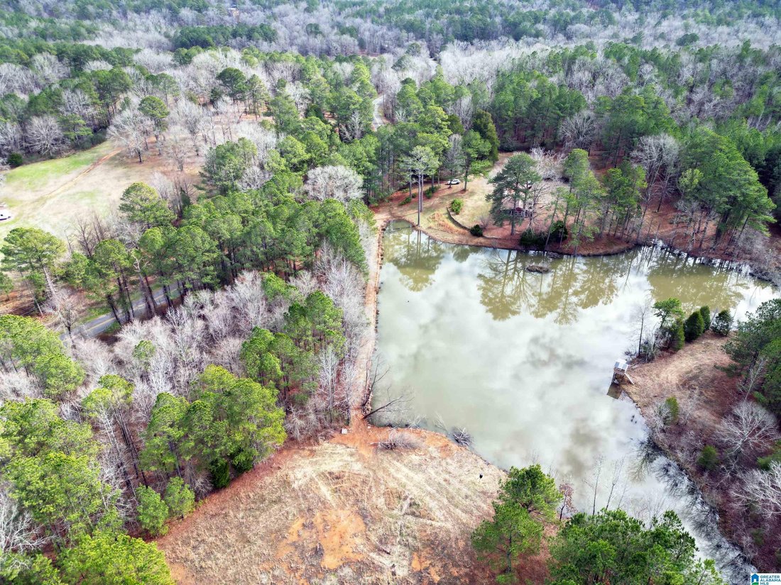 Casa a Sterrett, Alabama, Stati Uniti 5 - 17080090
