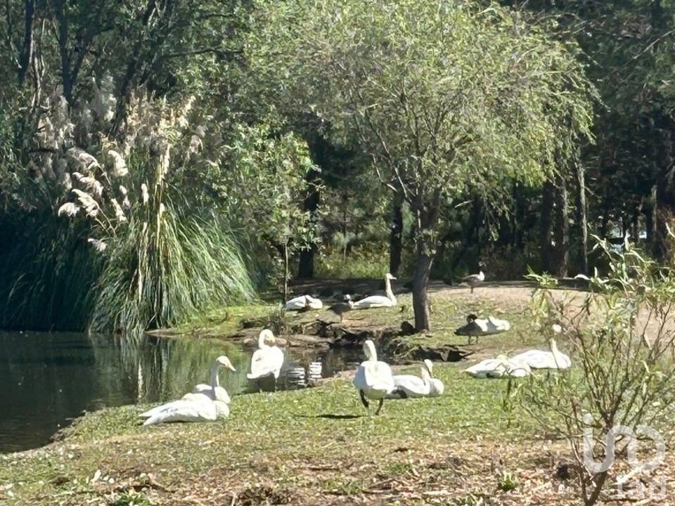 Land in Tapalpa Country Club, Jalisco, Mexico 4 - 17075569