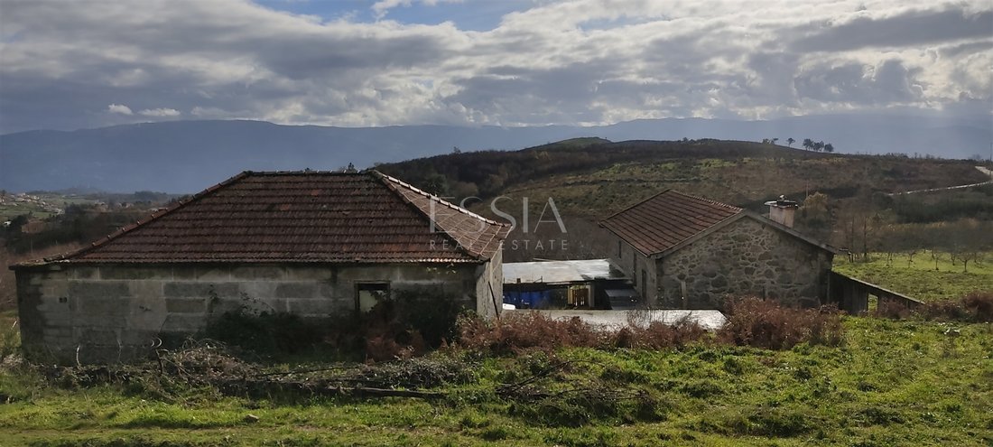Farm Ranch in Gestation, Porto District, Portugal 2 - 15933290