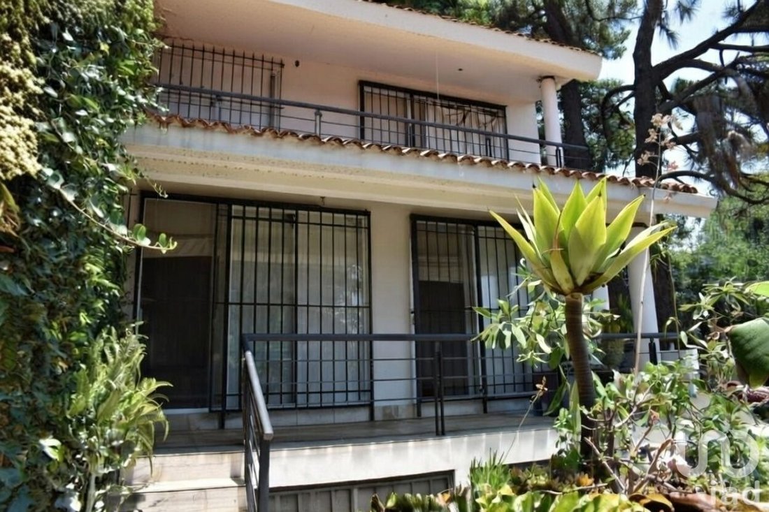 House in Cuernavaca, Morelos, Mexico 1 - 17075488
