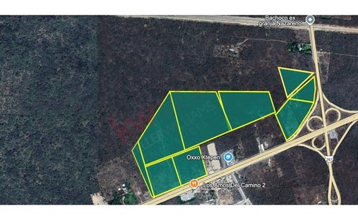 Land in Xtepén, Yucatan, Mexico 1