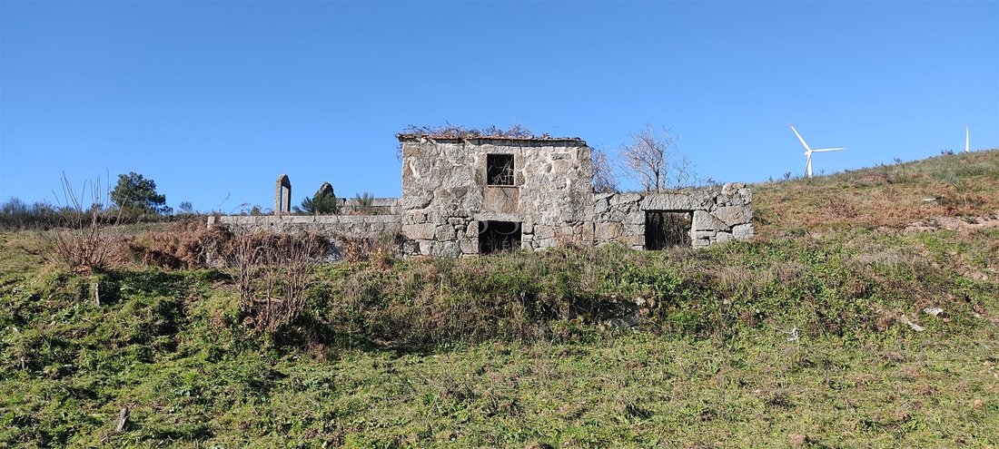 Farm Ranch in Gestation, Porto District, Portugal 4 - 15933290