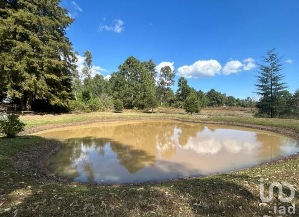 Land in Tapalpa Country Club, Jalisco, Mexico 1 - 17075569