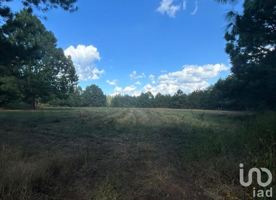 Land in Tapalpa Country Club, Jalisco, Mexico 3 - 17075569