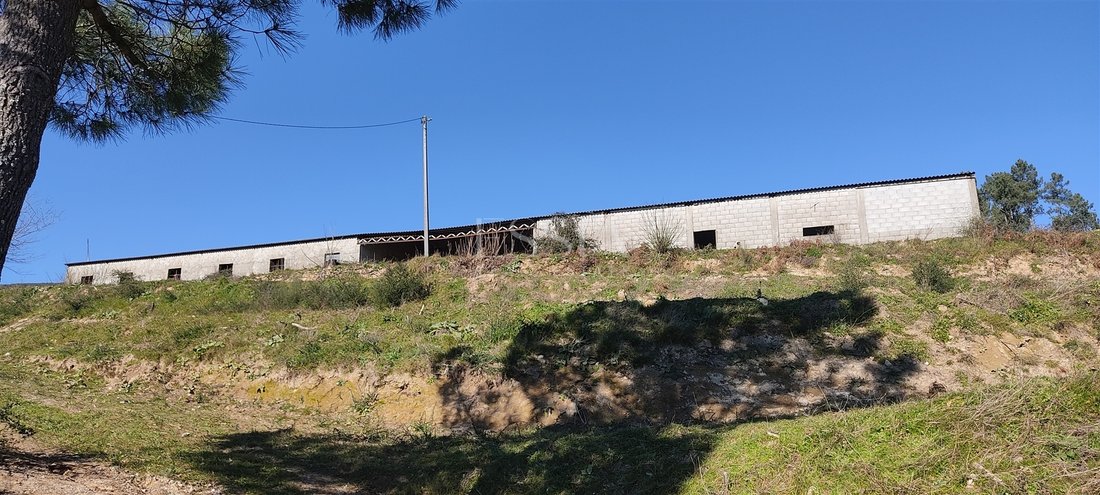 Farm Ranch in Gestation, Porto District, Portugal 3 - 15933290