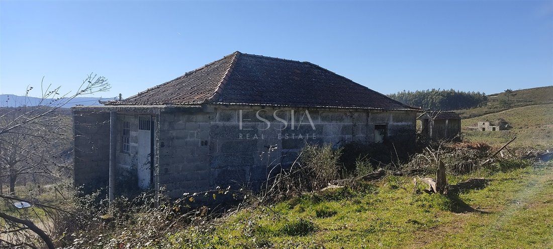 Farm Ranch in Gestation, Porto District, Portugal 1 - 15933290