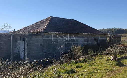 Rancho en Gestaçô, Distrito de Oporto, Portugal 1