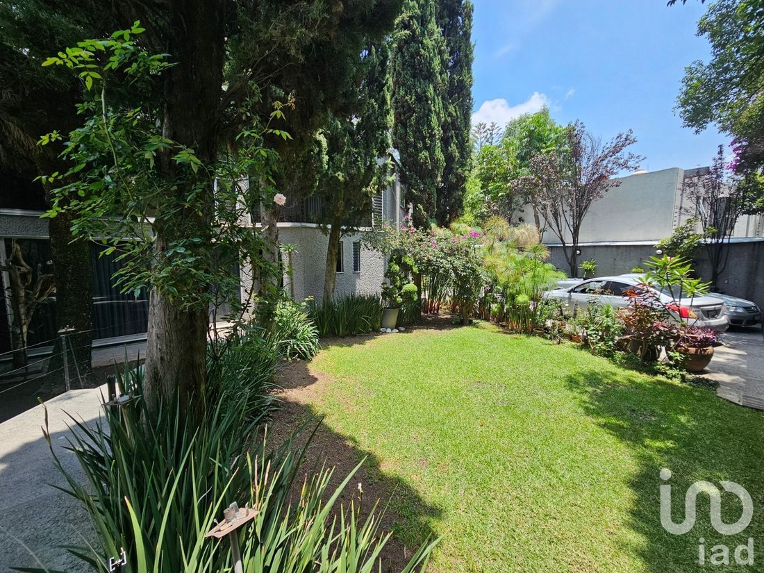 House in Mexico City, Mexico 1 - 17075521