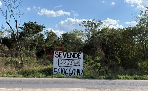Terrain à Temozón Norte, Yucatán, Mexique 1