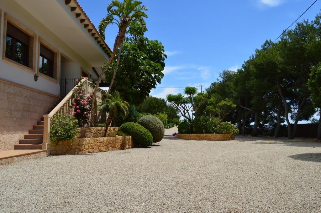 Chalet in Crevillent, Valencian Community, Spain 4 - 17083894