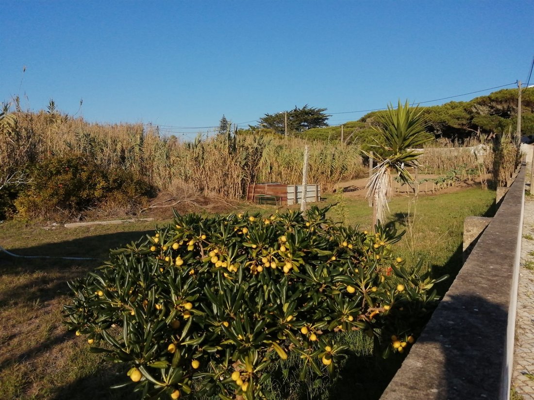 Land in Colares, Lisbon, Portugal 1 - 17078995