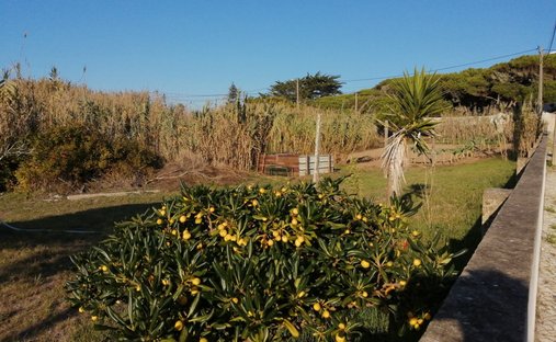 Terrain à Colares, Lisbonne, Portugal 1