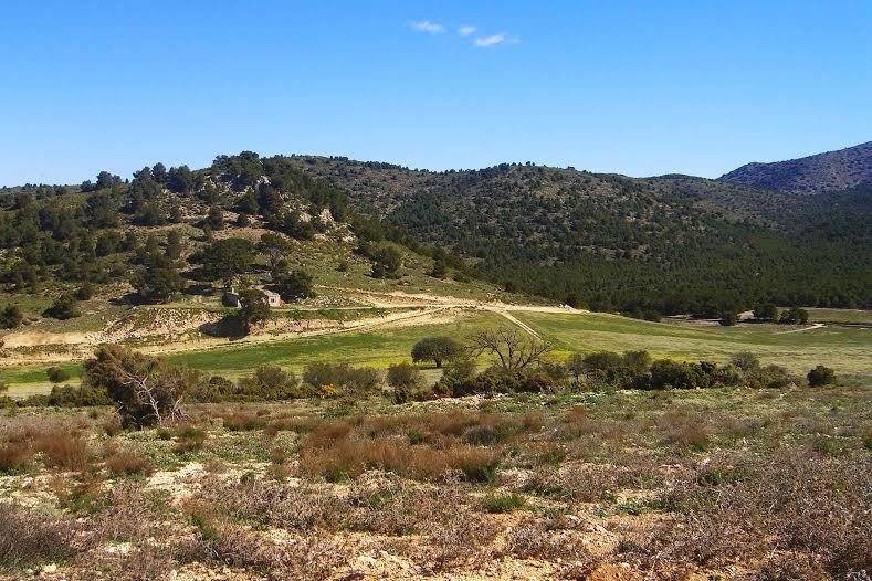 Land in Lorca, Region of Murcia, Spain 3 - 17082865