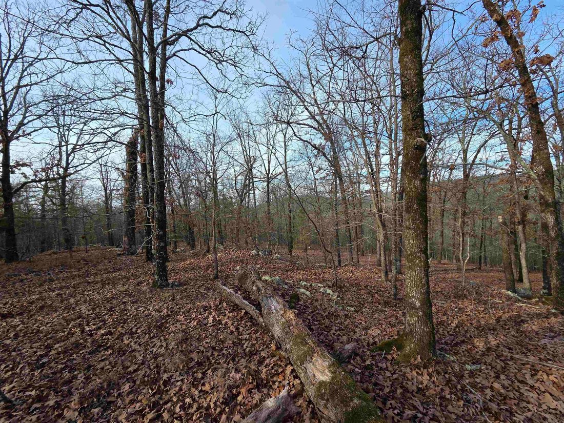Land in Cammack Village, Arkansas, United States 3 - 17075816