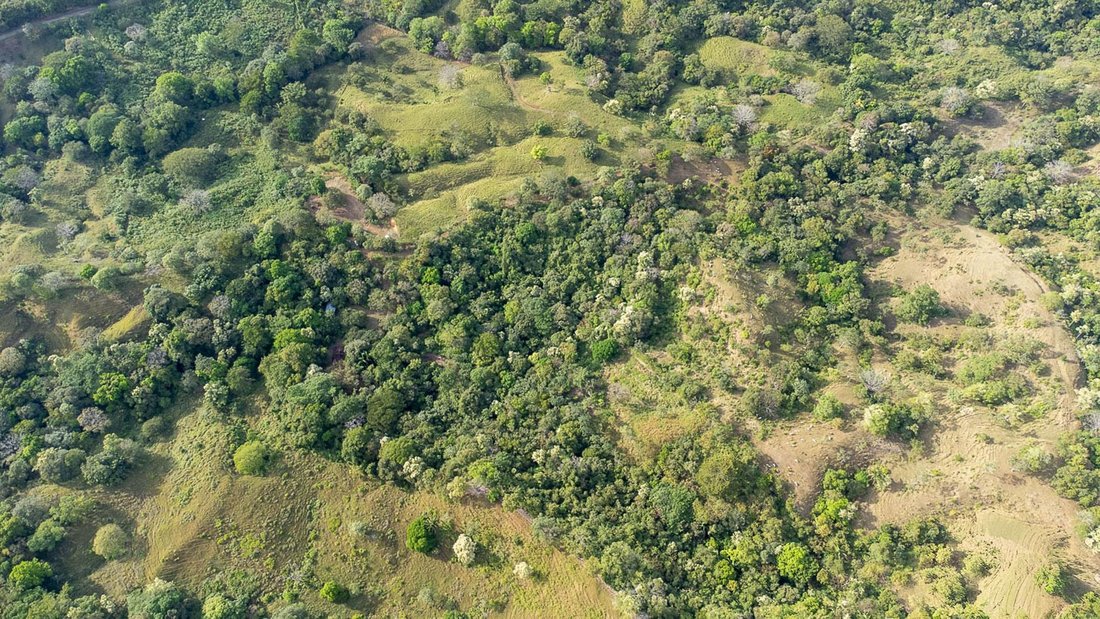 Land in Cambutal, Los Santos Province, Panama 5 - 16098550