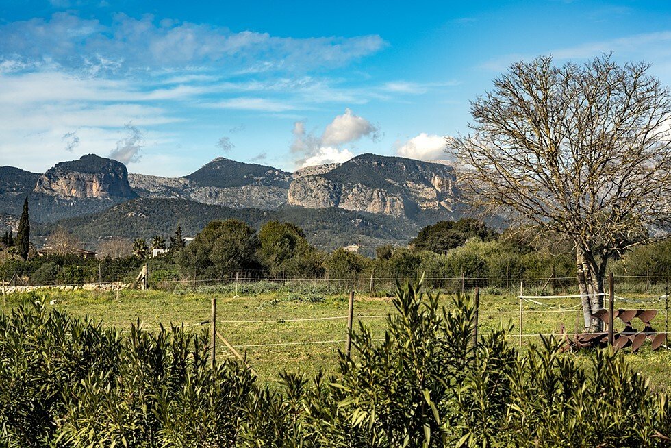 Country House in Sencelles, Balearic Islands, Spain 4 - 17079714