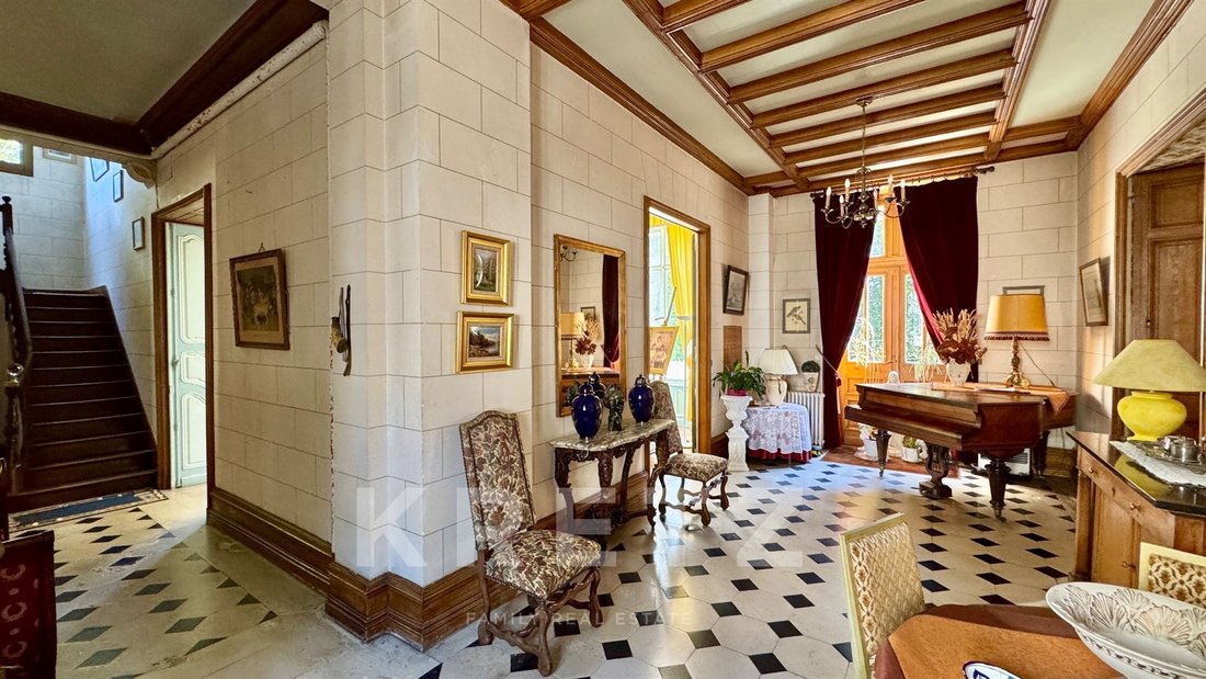 Castle in Saint-Cyr-sur-Loire, Centre-Val de Loire, France 5 - 16484324