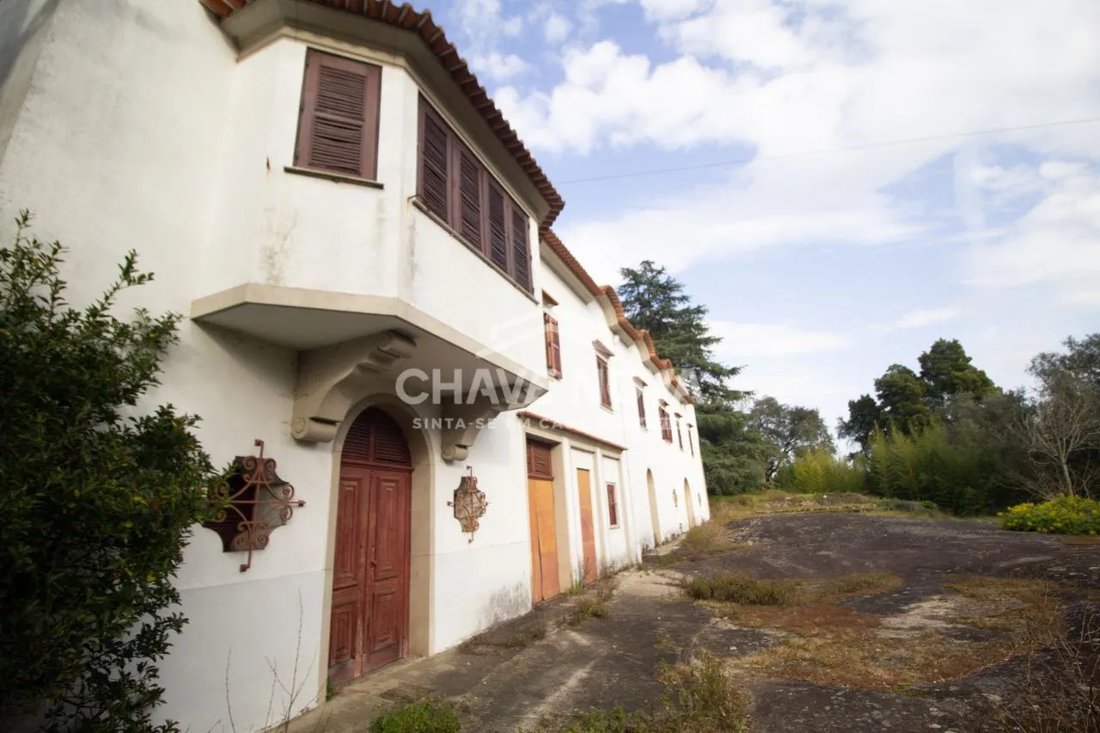 Villa in Aves, Porto District, Portugal 5 - 17081913
