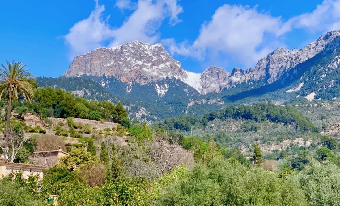 Land in Soller, Balearic Islands, Spain 2 - 15214824