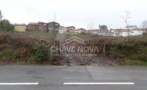 Terreno a Sanguedo, Distretto di Aveiro, Portogallo 1