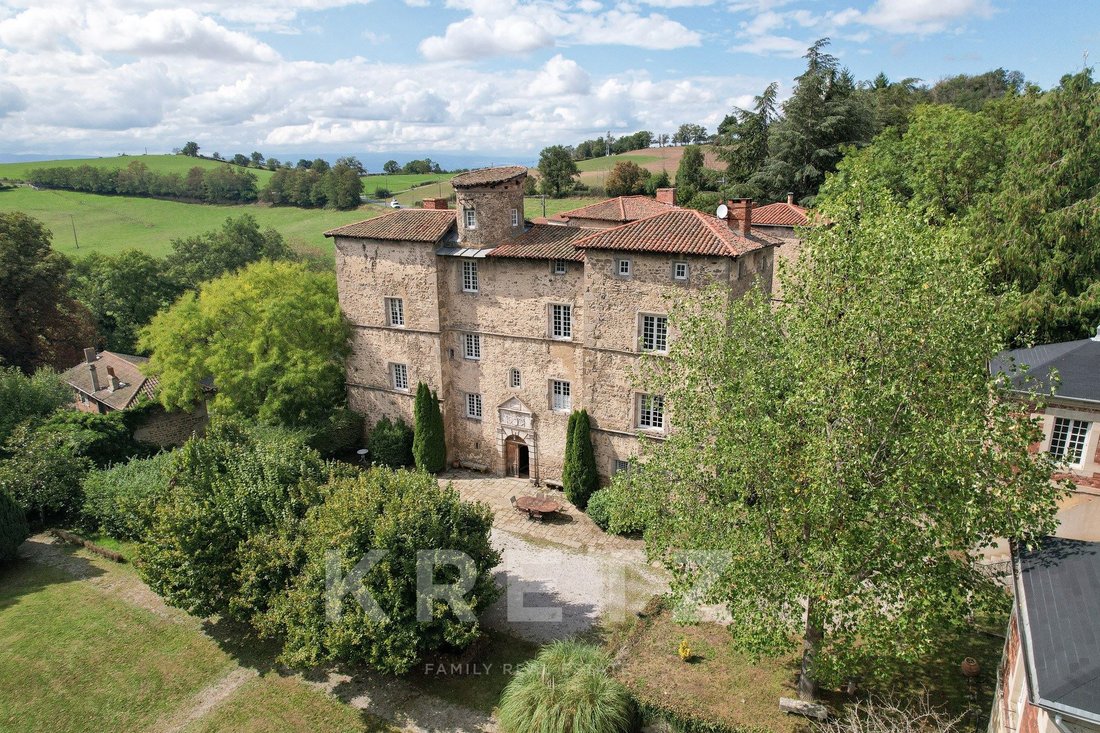 Castle in Saint-Heand, Auvergne-Rhône-Alpes, France 1 - 16171254